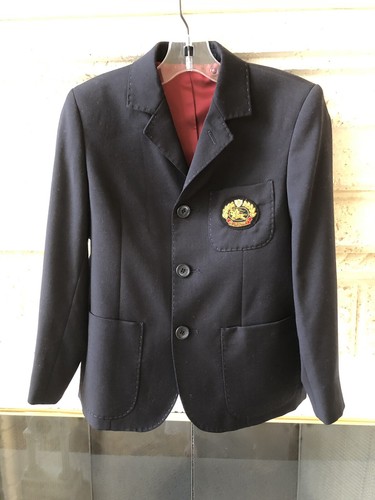 Nwot burberry boys navy blue - boys,