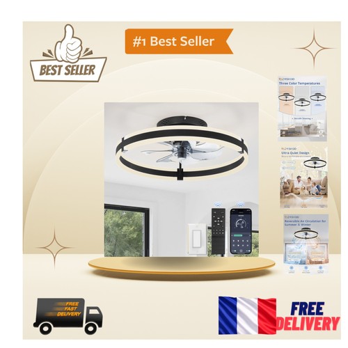 Ventilateur plafond - ventilateur,