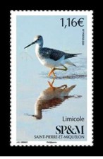 Saint Pierre Miquelon 2020 bird WADER aves oiseaux LIMICOLE WATVOGEL vogel1v mnh
