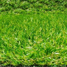 Rouleau de gazon artificiel en