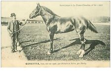 hippisme.n°35992.ginetta.baie .1910.CHEVAUX.SUPPLEMENT A LA FRANCE CHEVALINE.