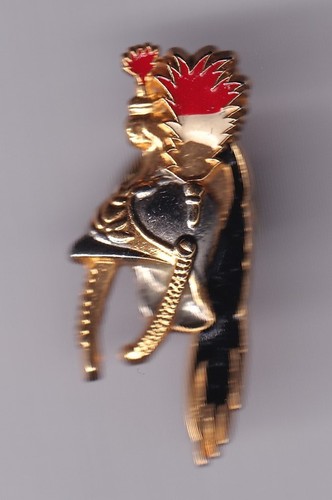 Rare pins pin gendarmerie - rare,
