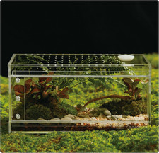 Acrylic Terrarium for Reptiles