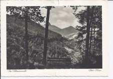 700 Im Schwarzwald (Freudenstadt) 1934 Photo Kaiser carte postale Bade-Wurtemberg