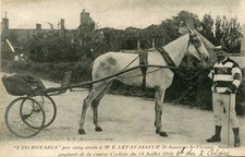 L'INCROYABLE Cheval pur sang