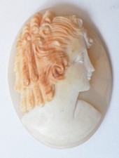 Superbe camée sur coquille