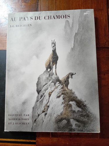 Pays chamois chasse - chamois,