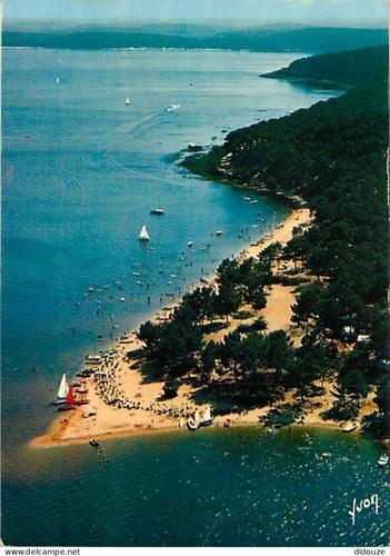 Carte postale lacanau - -,