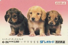 Carte JAPON - ANIMAL - CHIEN CHIOT - TECKEL & LABRADOR - DOG JAPAN Passnet card