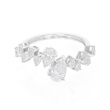 1.17 CT Naturel Si / H Poire