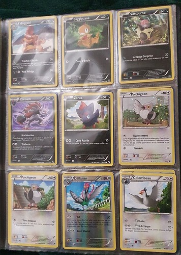 Lot cartes pokémon noir - pokémon,
