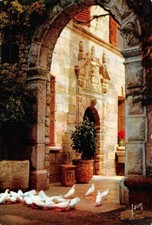 Les colombes blanches de