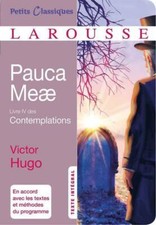 Pauca Meae. Livre IV des