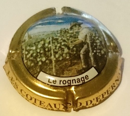Capsule champagne coteaux - champagne,