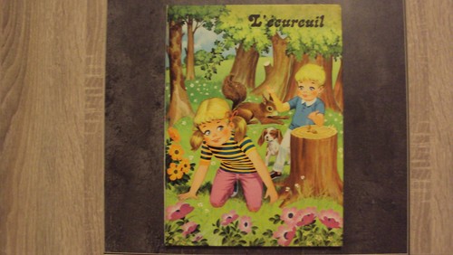 Livre enfant écureuil - enfant,