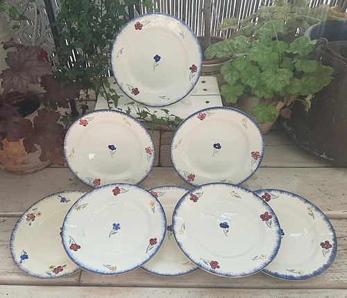 Assiettes desserts - 5+3,