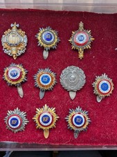 Beau Lot de 10 insignes D'élu Représentants Baromètres Conseil Général 