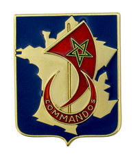 Insigne militaire (military