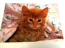 Grande CARTE NEUVE vintage CHATON CHAT marron Adorable ! 17,9 x 12,8cm