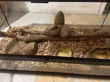 vivarium 90 cm avec chauffage et accessoires