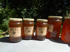 Miel local châtaignier ronce Bretagne 1 kilo bio les abeilles de Christian