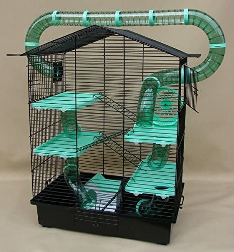 Cage rongeur xxl avec - à,