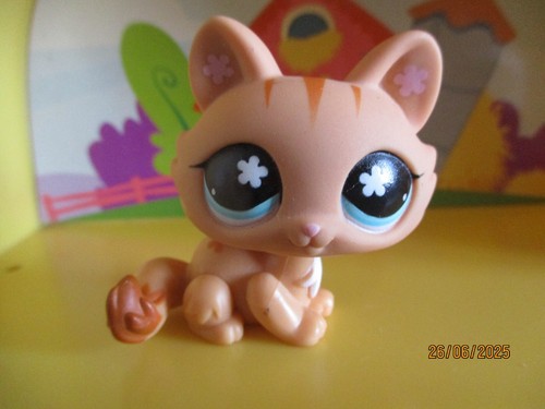Petshop chat sphynx 649 - chat, #649