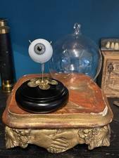 Rare Prothèse Oculaire Semi