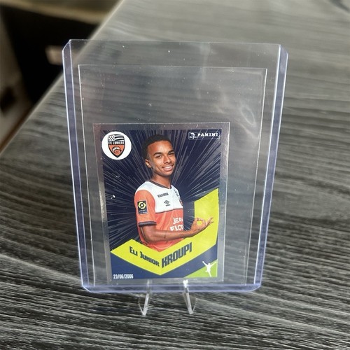 Panini foot 2024 football - panini,