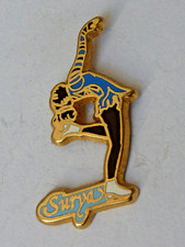 pin's pins badge. sport