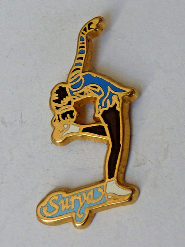 Pin pins badge - pin's,