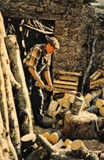 DANS L'ATTENTE DES FRIMAS - la coupe du bois