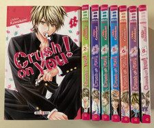 CRUSH ON YOU tomes 1 à 8