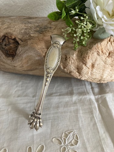 Ancienne pince à sucre - ⚜️,