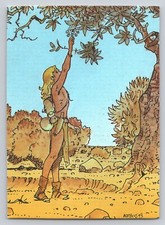 Moebius 1993 Collector Cards -