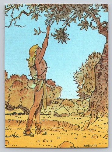 Moebius 1993 collector cards - 1993,