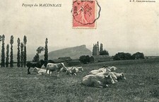 Carte Paysage du Maconnais Macon et environs à identifier 