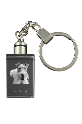 Fox terrier drahthaar - fox,