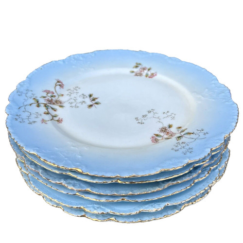 Assiettes anciennes theodore - 6,