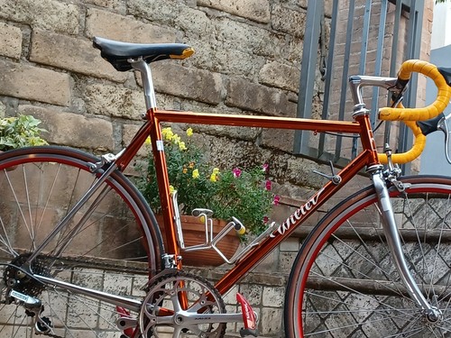 Wilier triestina ramata team - ramata,