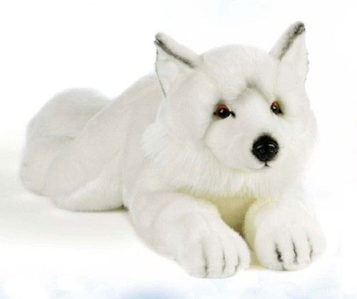 Plush company 15950 peluche - &,