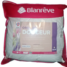 Lot de 2 oreillers DOUCEUR MOELLEUX enveloppe 100% microfibre dimension 60X60(6