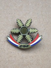 Insigne, broche médaille ski