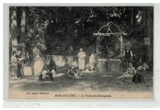 80 BOIS DE CISE #14989 LE PUIT