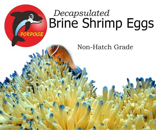 Decapsulated brine shrimp - decapsulated,