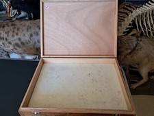 Boîte de présentation entomologique