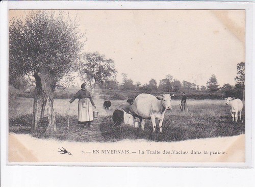 Nievre traite des vaches - la,