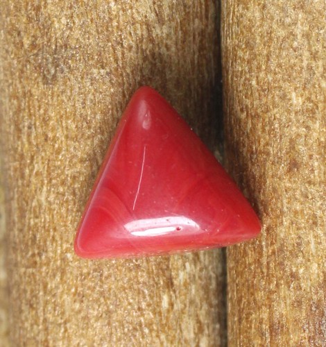 Corail rouge naturel ct - corail,