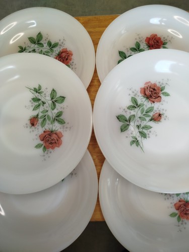 Assiettes plates arcopal - 6, en