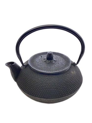Théière kyusu fonte nambu - kyusu, en